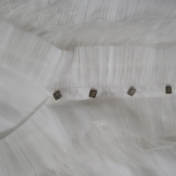 M/2 Ruffled Feathered Sheer Blouse - Picture 2 of 10